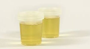 Urine fermentée sur 1 mois
